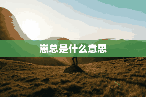 崽总是什么意思(崽崽是意思)